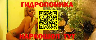 гидра Тула