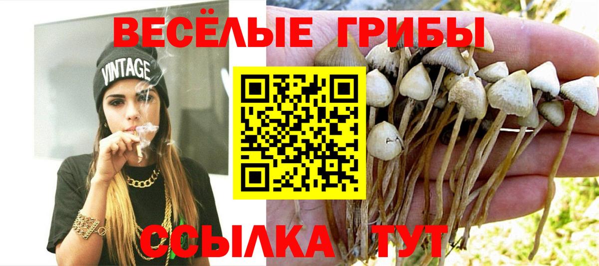 Моздок  Галлюциногенные грибы мицелий  Вход с VPN 