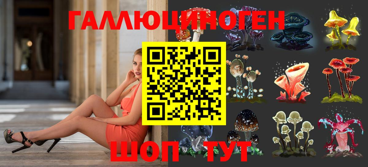 Галлюциногенные грибы Psilocybe Моздок